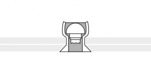 ZH